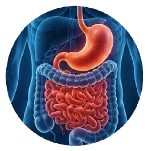 Gastroenterology