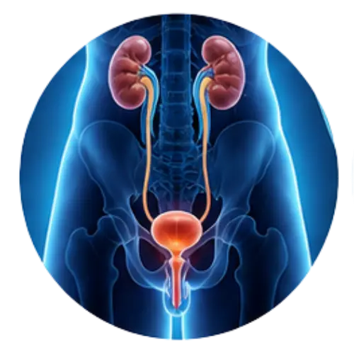 Urology
