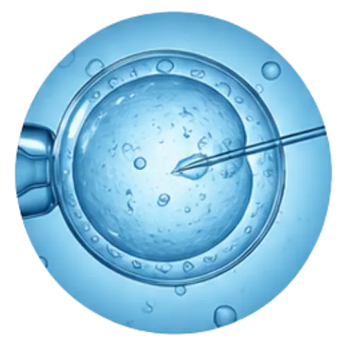 Fertility & IVF